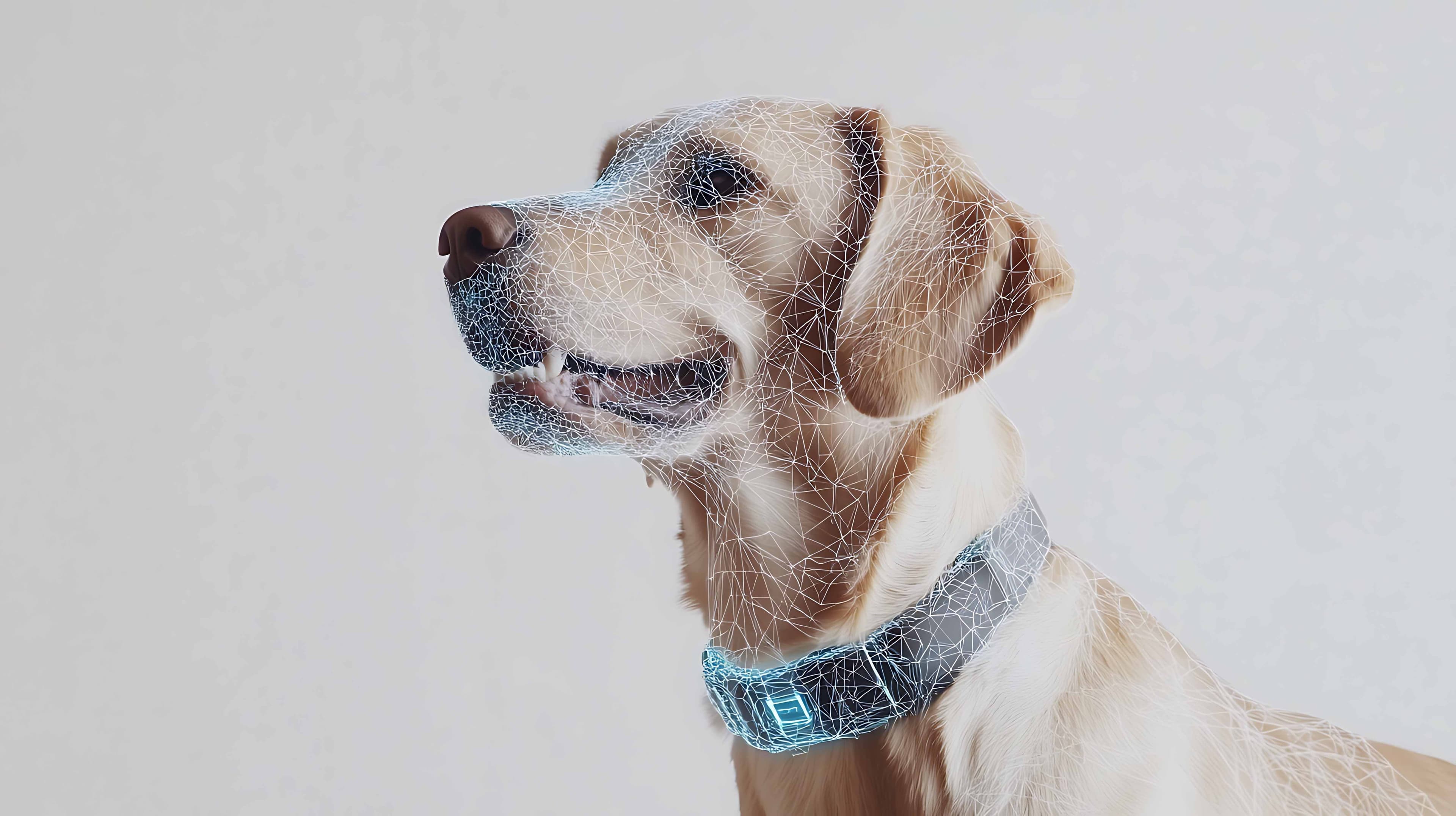 Health monitoring product